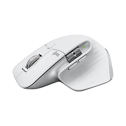 mouse