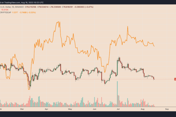 Litecoin இன் விலை இன்று ஏன் குறைந்துள்ளது?