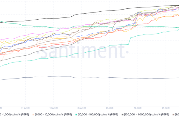 PEPE விலை பூஜ்ஜியத்திற்கு?  Pepecoin விரிப்பு-இழுக்கும் குற்றச்சாட்டுகள் memecoin ஆபத்தில் உள்ளன