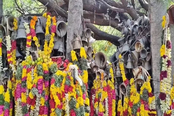 Temple Festival: ஆண்கள் மட்டுமே பங்கேற்கும் விநோத கிடா கறி திருவிழா!