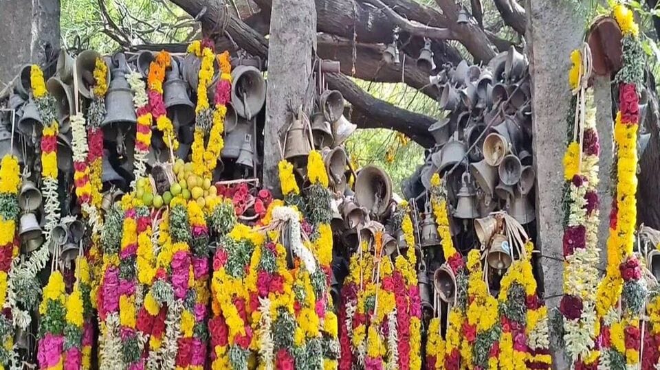 Temple Festival: ஆண்கள் மட்டுமே பங்கேற்கும் விநோத கிடா கறி திருவிழா!