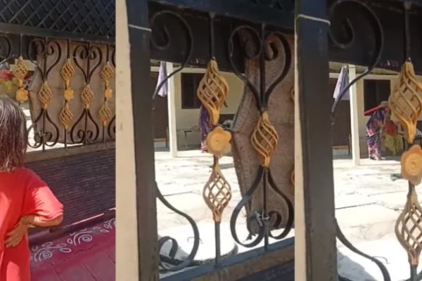 “என்ன விட்டுரு மா, வலி தாங்க முடியல” கதறிய மூதாட்டி; நெஞ்சை நொறுக்கும் வீடியோ..