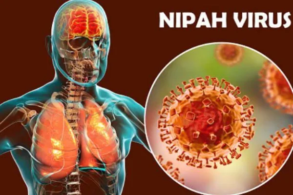 கேரளாவில் கோவிடாக மாறுகிறதா நிபா வைரஸ்…..? வெளியான அதிர்ச்சி தகவல்…..!