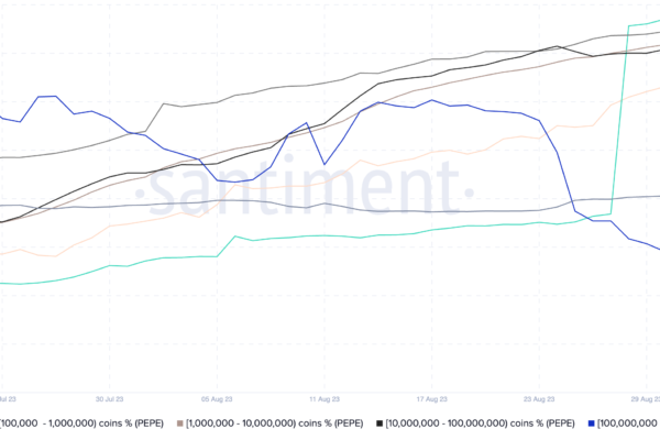 செப்டம்பரில் பெப்பே விலை தொடர்ந்து வீழ்ச்சியடைவதற்கு 3 காரணங்கள்
