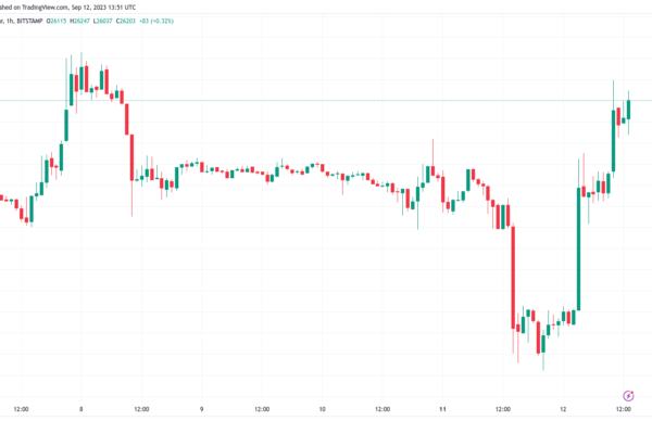 தினசரி BTC விலை ஆதாயங்கள் 5% கடந்த பிறகு பிட்காயின் 'டன்' எதிர்ப்பை எதிர்கொள்கிறது