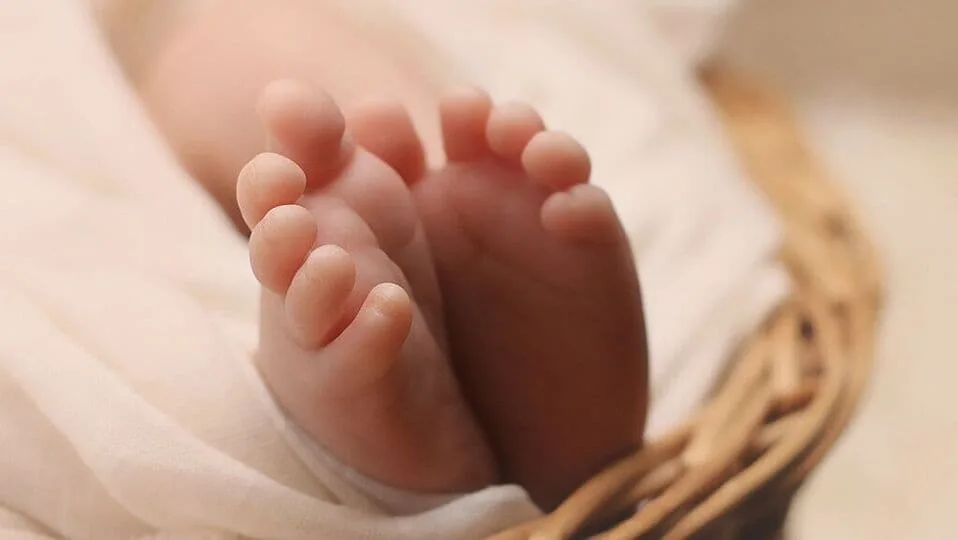 பயிற்சி பள்ளியில் 3 வயது குழந்தைக்கு நேர்ந்த கொடூரம்.. கைகளைக் கட்டிப்போட்டு.. கதறி துடித்த குழந்தை.. என்ன நடந்தது?