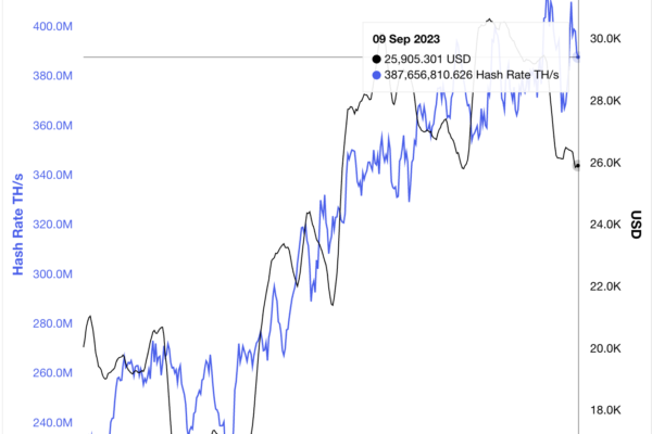 பிட்காயின் தரவு முதலீட்டாளர்கள் BTC விலையைப் பற்றி கவலைப்படாத 3 முக்கிய காரணங்களை எடுத்துக்காட்டுகிறது