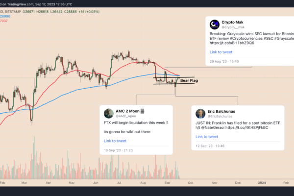 பிட்காயின் விலை எவ்வளவு குறைவாக இருக்கும்?