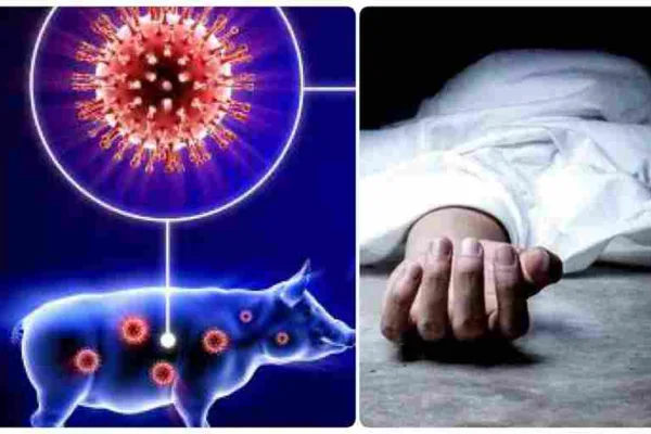 மக்களே கவனம்..!! பன்றிக் காய்ச்சலால் வாணியம்பாடியில் ஒருவர் மரணம்..!! அனைத்து கடைகளையும் மூட உத்தரவு..!!