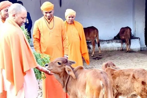 மாநிலங்களுக்கு இடையே கால்நடை போக்குவரத்துக்கு தடை…! முதல்வர் யோகி அதிரடி உத்தரவு…!