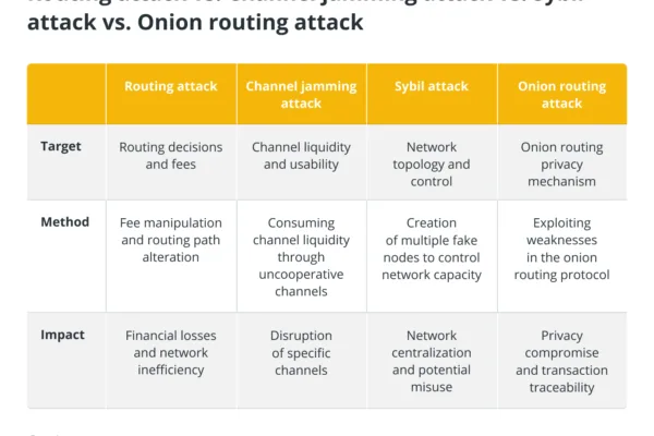மின்னல் நெட்வொர்க்கில் ரூட்டிங் தாக்குதல்களை அடையாளம் கண்டு பாதுகாப்பது எப்படி