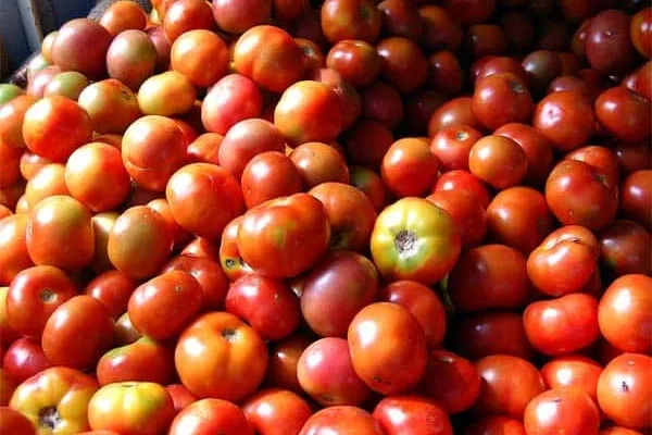 If the price goes up, the government will buy it, if it goes down, the government will stand aside: Farmers are suffering because of no price for the produce  விலை உயர்ந்தால் கொள்முதல் , குறைந்தால் ஒதுங்கும் அரசு:  விளை பொருட்களுக்கு விலை       இன்றி  விவசாயிகள்  தவிப்பு