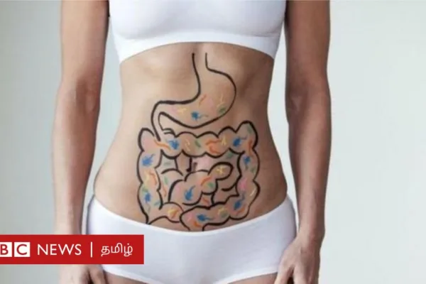 வயிற்றுக்கும், மூளைக்கும் இடையே உள்ள அற்புதமான உறவு என்ன?