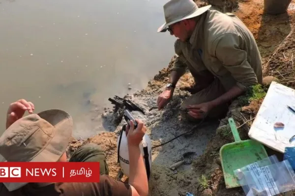 மனித வரலாற்றை புரட்டிப்போடும் கண்டுபிடிப்பு: 5 லட்சம் ஆண்டுகள் முன்பே தங்குமிடம் அமைத்தார்களா?