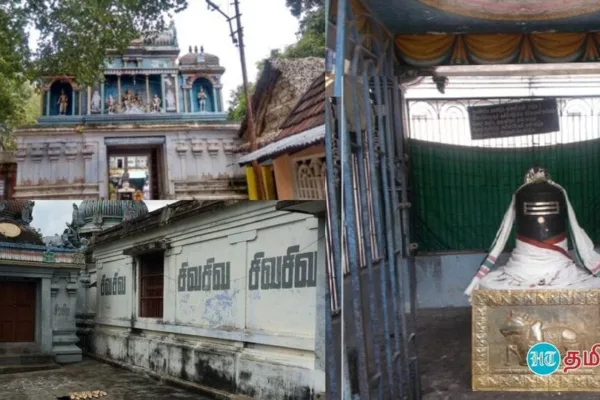 Madhuvaneswarar: சுவாதி நட்சத்திரக்காரர்கள் செல்ல வேண்டிய முக்கியமான ஆலயம்.. மலைக்க வைக்கும் மதுவனேஷ்வரர்!