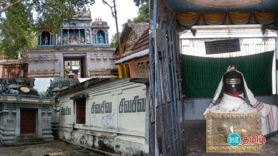 Madhuvaneswarar: சுவாதி நட்சத்திரக்காரர்கள் செல்ல வேண்டிய முக்கியமான ஆலயம்.. மலைக்க வைக்கும் மதுவனேஷ்வரர்!