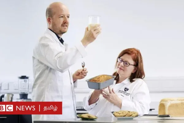 பாமாயிலுக்கு ஈடாக 'மாற்று எண்ணெய்' கண்டுபிடிப்பு - உலகை மாற்றுமா?