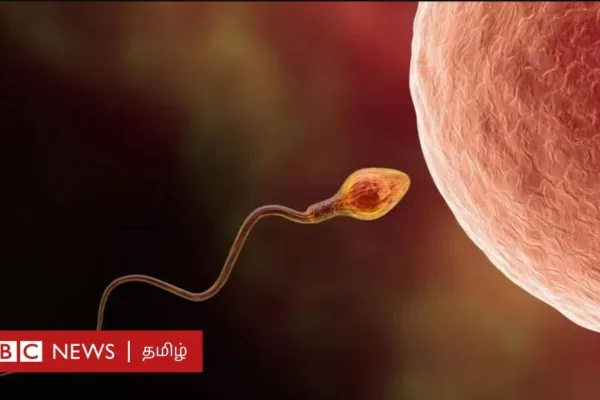 ஆண் மலட்டுத் தன்மைக்கு தீர்வு கண்ட செயற்கை நுண்ணறிவு - என்ன செய்யும்?