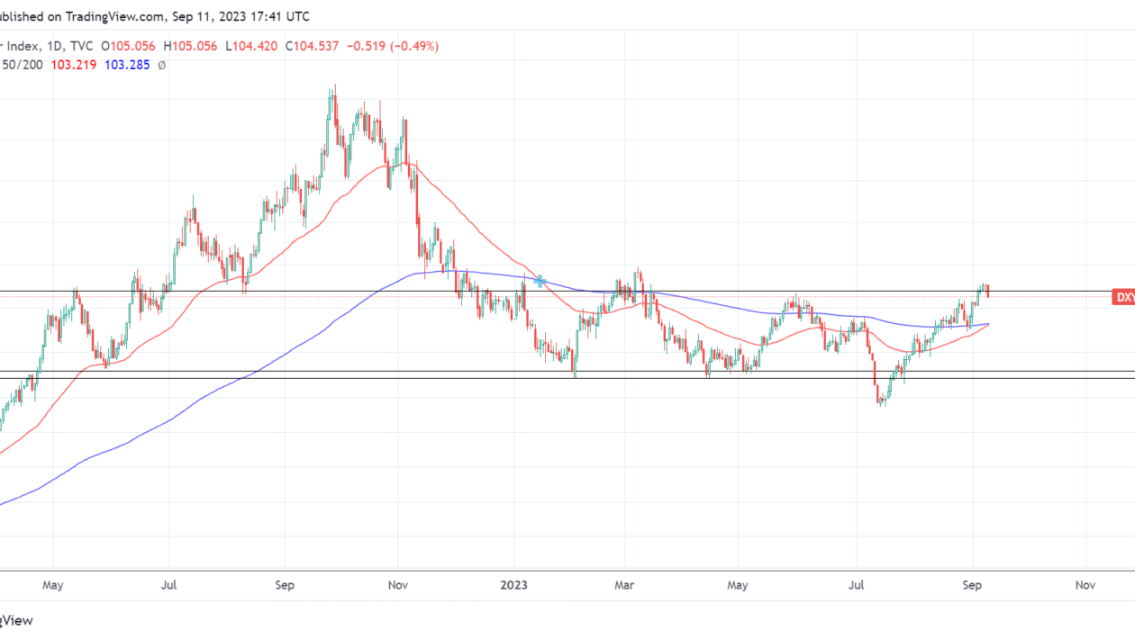 Bitcoin விலை $25Kக்கு கீழே குறைகிறது - வாய்ப்பு, அல்லது உள்வரும் பேரழிவின் அறிகுறியா?