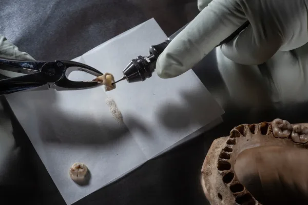 நியண்டர்டால்களிலிருந்து பிளாக் பிளேக் வரையிலான பண்டைய டிஎன்ஏ தொல்பொருளியலை எவ்வாறு மாற்றியுள்ளது