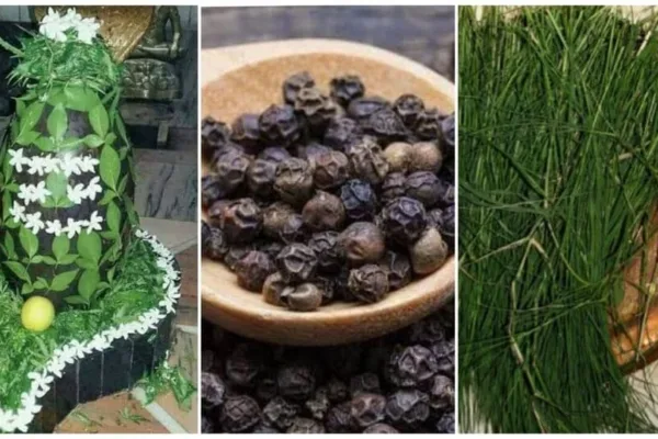 Karma: உங்கள் கர்ம வினை தீர வேண்டுமா? இந்த பரிகாரத்தை மட்டும் மறக்காதீங்க!