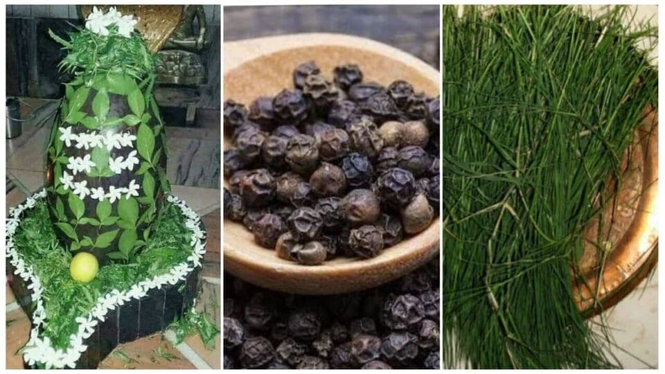 Karma: உங்கள் கர்ம வினை தீர வேண்டுமா? இந்த பரிகாரத்தை மட்டும் மறக்காதீங்க!