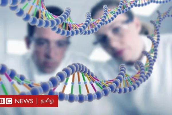 அழிவை நோக்கி Y குரோமோசோம் - ஆண்கள் என்ன ஆவார்கள்?