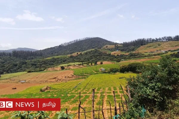 நீலகிரியில் காணாமல் போன நீர்நிலை: பார்ன் பூட் ஏரிக்கு என்ன ஆனது?