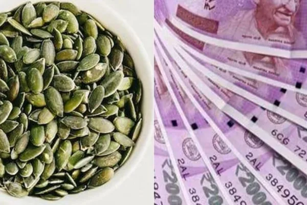 Spiritual Tips: பணப் பிரச்னை தீர வேண்டுமா ? - ஈஸியான பரிகாரம் இதோ..!