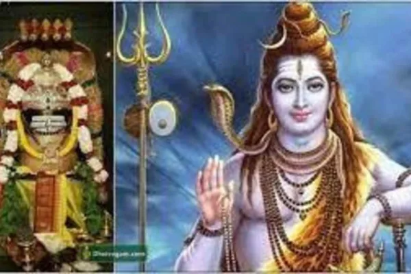 நினைத்த விஷயம் நடக்கணுமா? - அப்போ கடவுளுக்கு இந்த மலர்கள் கொண்டு பூஜை செய்யுங்க