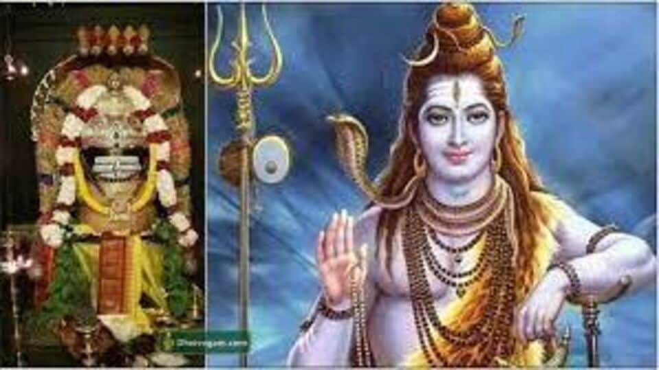 நினைத்த விஷயம் நடக்கணுமா? - அப்போ கடவுளுக்கு இந்த மலர்கள் கொண்டு பூஜை செய்யுங்க