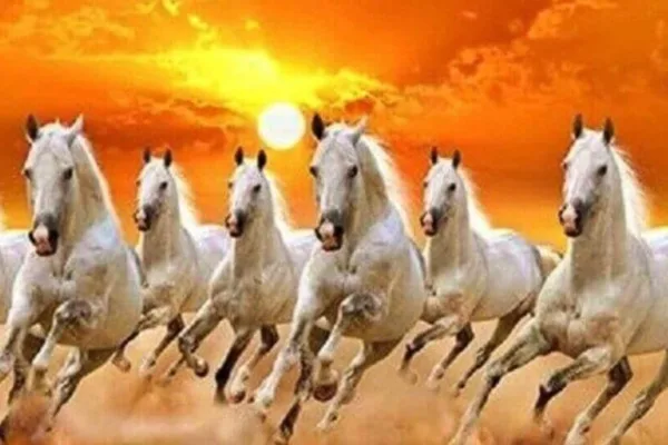 Positive Energy: மரியாதை, புகழ், செல்வம் என நேர்மறை ஆற்றலை அள்ளி தரும் ஏழு குதிரைகள் புகைப்படம்!வீட்டில் எங்கு வைக்கலாம்