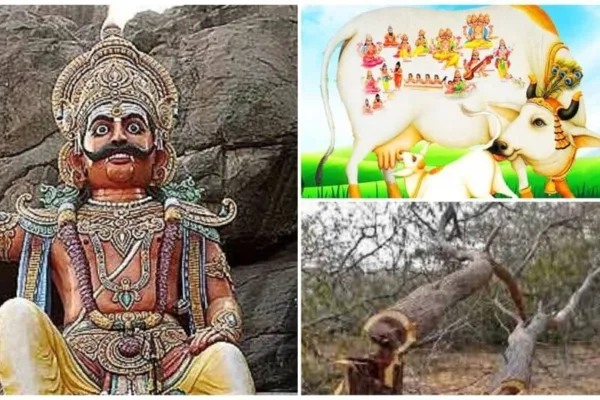 Curses and Remedies: தலைமுறை தலைமுறையாய் நம்மை துரத்தும் சில சாபங்களும் பரிகாரங்களும்!