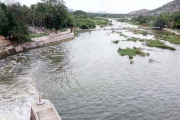Can the Cuddalore Panna River be completely embanked?: Risk of flood intrusion through tributaries  கடலூர் பெண்ணையாற்றில் முழுவதுமாக கரை  அமைக்கப்படுமா?: கிளை ஆறு வழியாக வெள்ளம் உட்புகும் அபாயம்