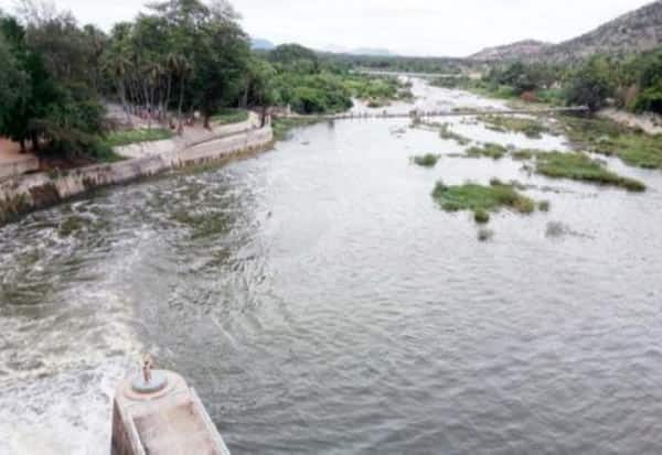 Can the Cuddalore Panna River be completely embanked?: Risk of flood intrusion through tributaries  கடலூர் பெண்ணையாற்றில் முழுவதுமாக கரை  அமைக்கப்படுமா?: கிளை ஆறு வழியாக வெள்ளம் உட்புகும் அபாயம்