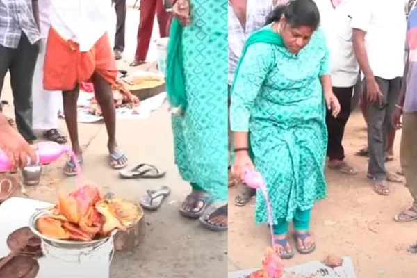 சிக்கன் பிரியர்களே எச்சரிக்கை!! நோய்வாய்ப்பட்டு இறந்த கோழிகளுக்கு, சாயம் பூசி விற்பனை..
