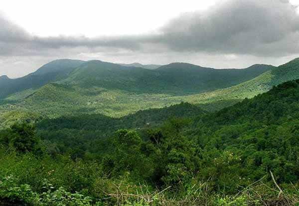 If Sirumalai is adversely affected... we will express our refusal; District Forest Department confirmed    சிறுமலைக்கு பாதகம் வந்தால்...    மறுப்பு தெரிவிப்போம்;     மாவட்ட வனத்துறை உறுதி