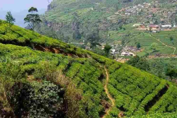 பூமிக்கடியில் கேட்கும் மர்ம சத்தம்!… பதறிய மக்கள்!