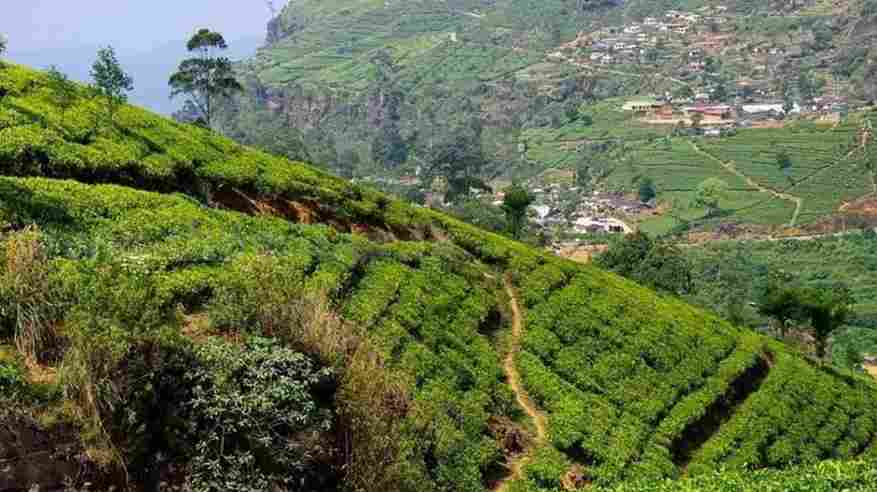 பூமிக்கடியில் கேட்கும் மர்ம சத்தம்!… பதறிய மக்கள்!