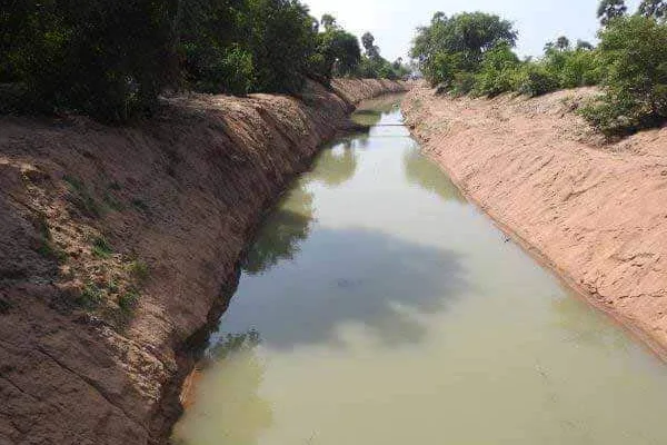 Canals are needed for rainwater ponds.. Is irrigation available?  மானாவாரி கண்மாய்களுக்கு கால்வாய் தேவை..  திருமங்கலம் பிரதான கால்வாயை நீட்டிக்க வேண்டும்