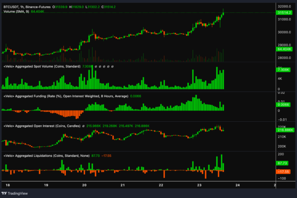 முக்கிய $31.7K பிவோட் புள்ளிக்கு அருகில் பிட்காயின் விலை வர்த்தகம் - BTC காளைகள் அளவைத் தொடர முடியுமா?