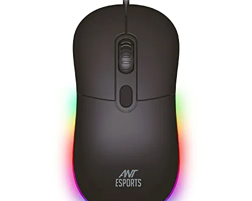 mouse
