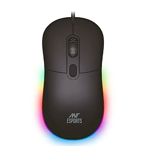 mouse