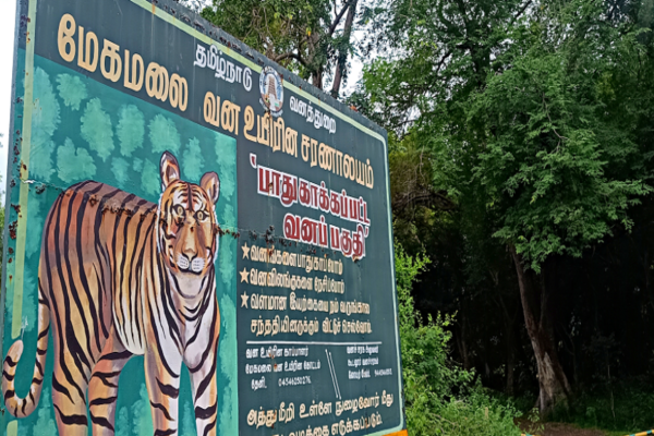 தமிழ்நாடு: மேகமலை காட்டுக்குள் 55 வயது நபரை வனத்துறையினர் சுட்டுக் கொன்றது ஏன்?