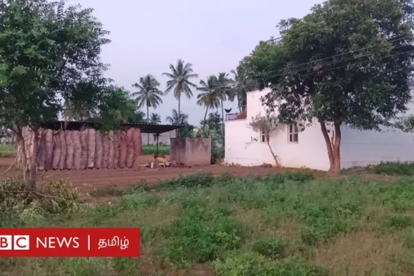 தமிழ்நாட்டில் இறந்தவர்களின் உடலை வீட்டின் அருகிலேயே புதைக்கும் குடும்பங்கள் - என்ன காரணம்?