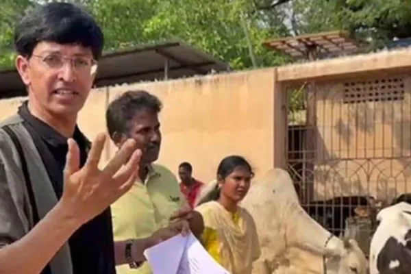Chennai: சாலையில் சுற்றி திரியும் மாடுகள்..சென்னை மாநகராட்சி கமிஷனர் எச்சரிக்கை!
