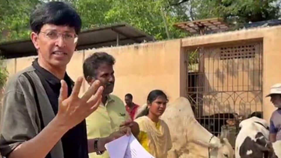 Chennai: சாலையில் சுற்றி திரியும் மாடுகள்..சென்னை மாநகராட்சி கமிஷனர் எச்சரிக்கை!