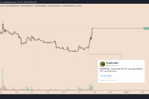 FLOKI விலை ஒரு வாரத்தில் 140% உயர்கிறது - DOGE, PEPE போன்ற memecoins இறுதியாக எழுந்திருக்கிறதா?