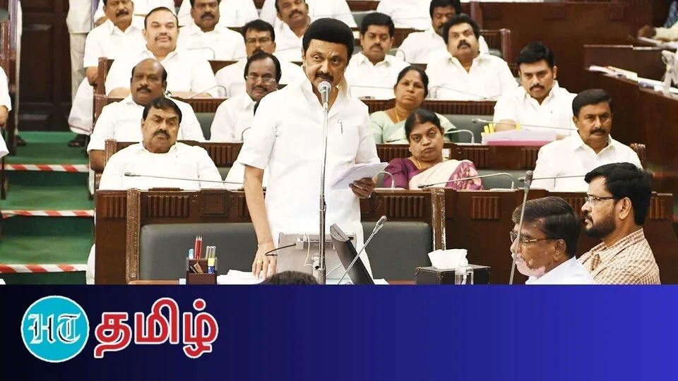 MK Stalin: ஆசிரியர்கள், அரசு ஊழியர்களுக்கு அகவிலைப்படி உயர்வு! முதல்வர் அதிரடி!
