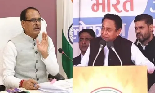 Nomination process for 230 Assembly
